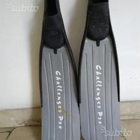 Pinne Imersion (France) - Challenger Pro