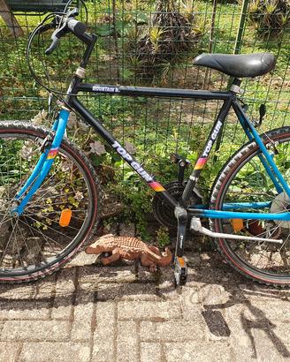 biciclette