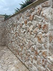 Roccia retro segata per rivestimenti