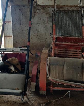 Bighe per cavallo