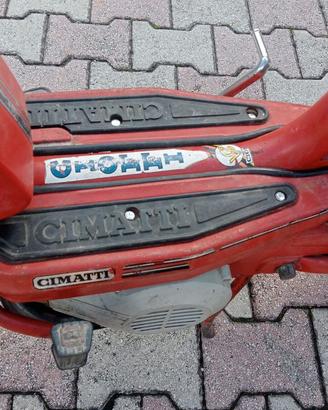 Cimatti mini chic
