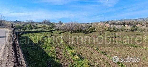 Terreno 15.000 mq a piedimonte etneo - Vista 5