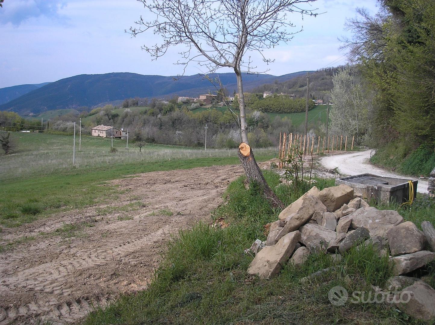 Rustico da ricostruire con terreno circostante - Vista 2