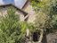 Immagine 10