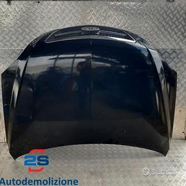 COFANO ANTERIORE KIA SORENTO (02-06) 2002-2006