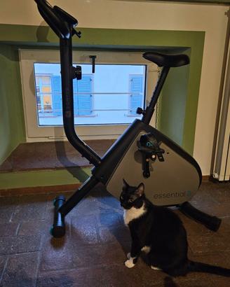Cyclette