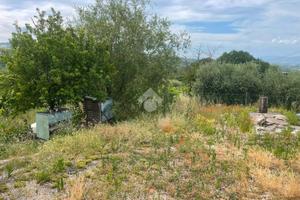 TER. AGRICOLO A PERUGIA