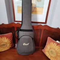 Basso elettrico 5 corde