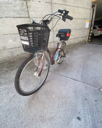 Bici elettrica