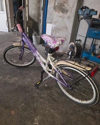 bicicletta 