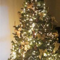 Albero di Natale elegante con luci e palle di vetr