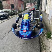 Go kart kz