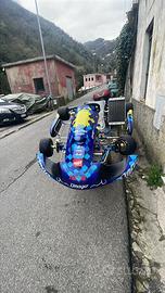 Go kart kz