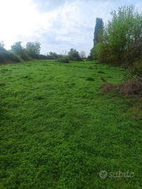 Terreni Agricoli superfice circa 11.000 mq