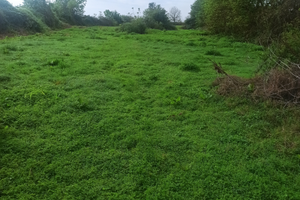 Terreni Agricoli superfice circa 11.000 mq