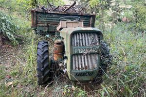 Trattorino da restauro