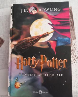 Harry Potter e la pietra filosofale 