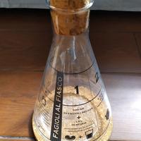 Elegante fagioliera in vetro - come nuova