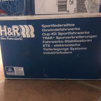 molle assetto ribassato polo 6r 2016