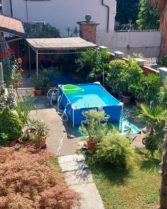 Piscina intex