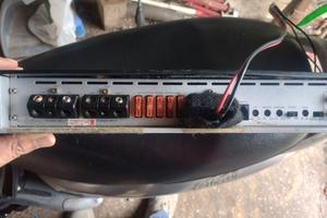 Amplificatore classe d gorilla 5500watt