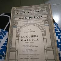 la guerra gallica - giulio cesare 