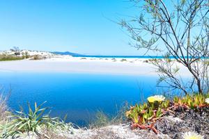 Confortevole appartamento vista mare (G)