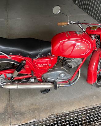 Lodola 235