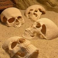 decorazione terrario teca