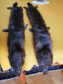 Visoni, manicotto e collo in pelliccia vintage