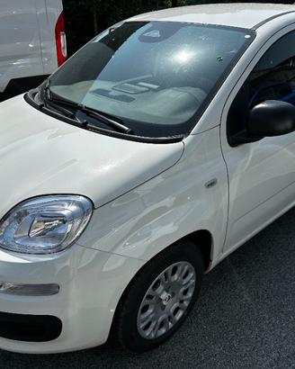 FIAT Panda 1.0 70cv Hybrid Panda