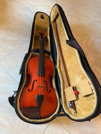 Violino