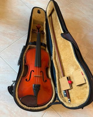Violino