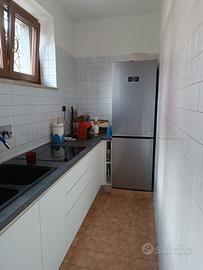 frigorifero Beko harvest Fresch