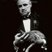 Poster Il Padrino Godfather B/N Pyramid PP30526