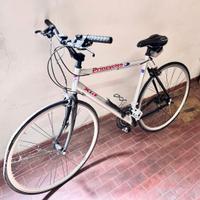 Bicicletta da uomo  cità della PRINCYCLES Veronese