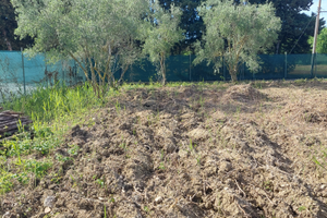 Terreno agricolo pianura recintato
