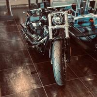 Harley davidson brekaut