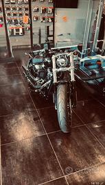 Harley davidson brekaut