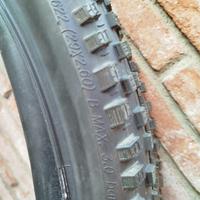 Pneumatici mountain bike Schwalbe camera d'aria