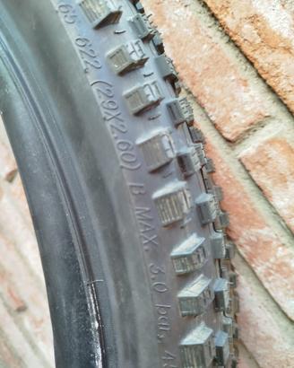 Pneumatici mountain bike Schwalbe camera d'aria