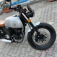 Mutt Akita 125