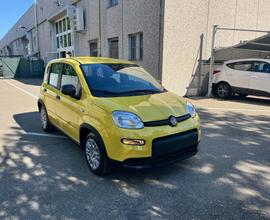 FIAT Panda 1.0 FireFly S&S Hybrid Pandina Km0