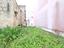 Immagine 22