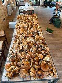 PORCINI FRESCHI/SECCHI