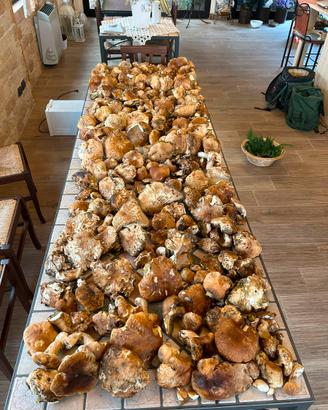 PORCINI FRESCHI/SECCHI