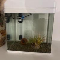 Acquario 16lt con filtro e illuminazione led