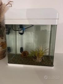 Acquario 16lt con filtro e illuminazione led
