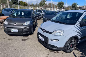 Fiat Panda 1.0 FireFly S&S City Life vari colori