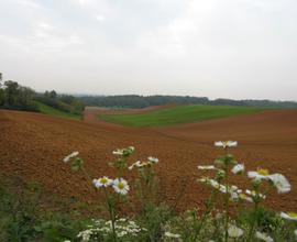 In Monferrato azienda agroalimentare familiare